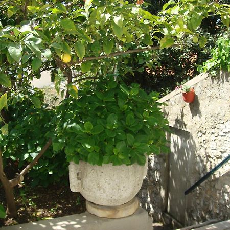 Guesthouse Manda Dubrovnik Exterior photo