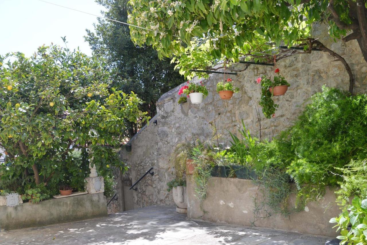 Guesthouse Manda Dubrovnik Exterior photo