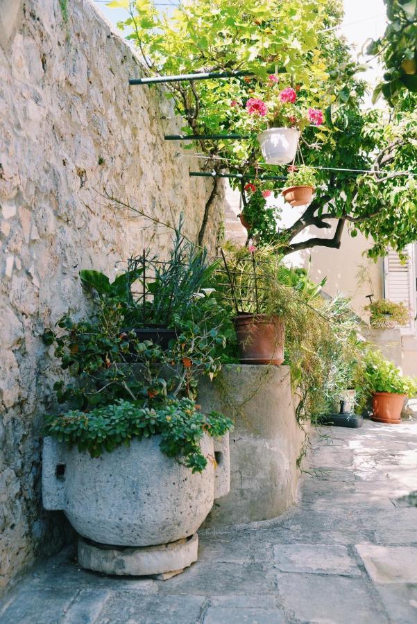 Guesthouse Manda Dubrovnik Exterior photo