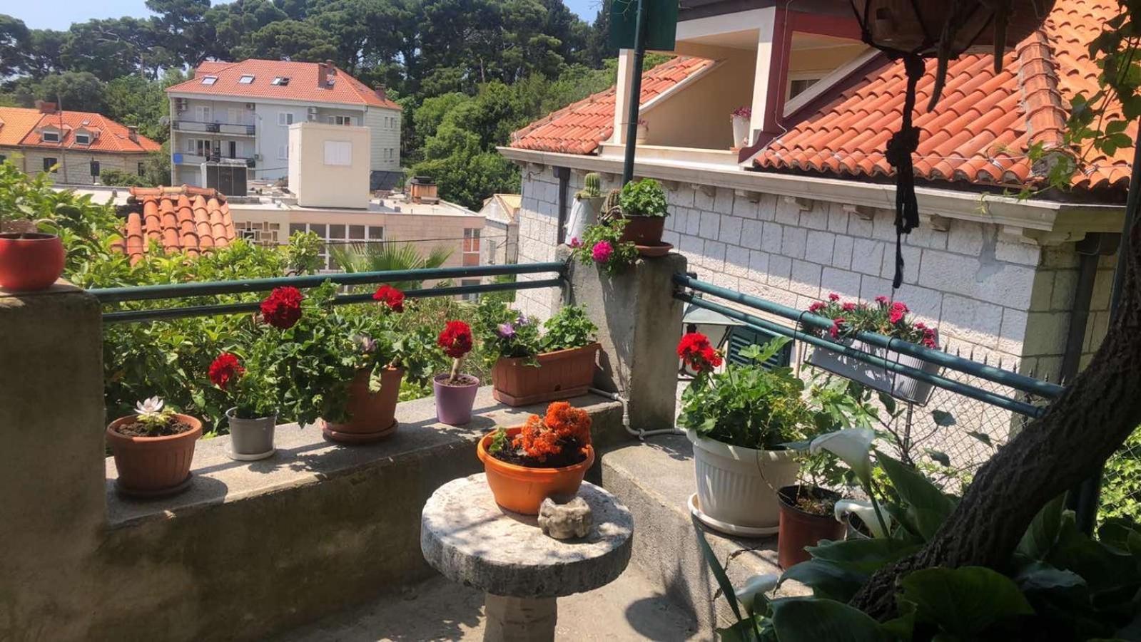 Guesthouse Manda Dubrovnik Exterior photo