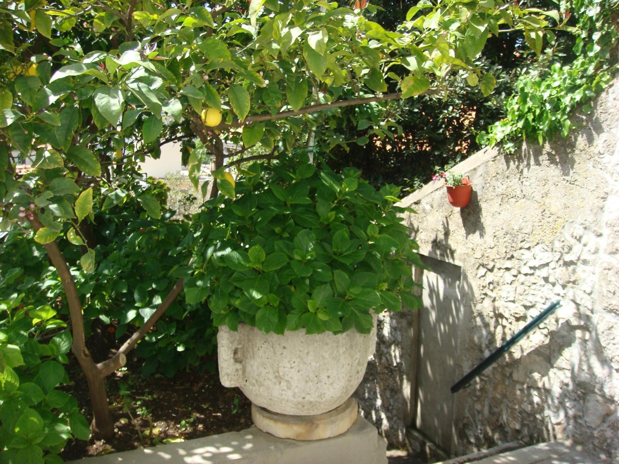 Guesthouse Manda Dubrovnik Exterior photo
